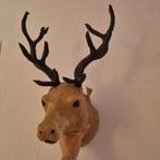 Rendier Hoofd Muurdecoratie, Ophalen of Verzenden