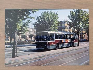 Foto BUS GVB Amsterdam 84 Insulindeweg beschikbaar voor biedingen