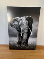 Muurtekening olifant, Huis en Inrichting, Woonaccessoires | Schilderijen, Tekeningen en Foto's, Ophalen, Zo goed als nieuw, Foto of Poster