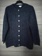 Aubergine Vest Dames Maat 46 Kabelpatroon, Ophalen of Verzenden, Zo goed als nieuw, Maat 46/48 (XL) of groter, Paars