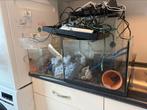 2 aquariums MOETEN NU WEG leuk bod en hij is voor u, Dieren en Toebehoren, Vissen | Aquaria en Toebehoren, Ophalen of Verzenden