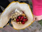 Kerstversiering rood-goud, Diversen, Kerst, Ophalen of Verzenden