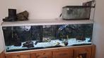 Aquarium akvastabil 200x60x60cm, Ophalen, Gebruikt, Leeg aquarium