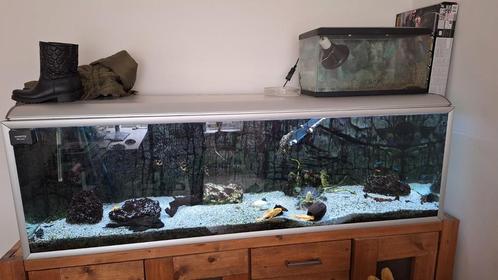 Aquarium akvastabil 200x60x60cm, Dieren en Toebehoren, Vissen | Aquaria en Toebehoren, Gebruikt, Leeg aquarium, Ophalen