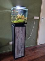 Superfish Qubiq 30 Pro Zwart met toebehoren, Dieren en Toebehoren, Vissen | Aquaria en Toebehoren, Ophalen