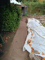 Grindtegels, Tuin en Terras, Tegels en Klinkers, Ophalen, Gebruikt, Beton, Terrastegels