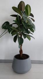 Intratuin Heos plantenbak/bloembak antraciet plastic, Ophalen, Kunststof, Gebruikt, Minder dan 30 cm