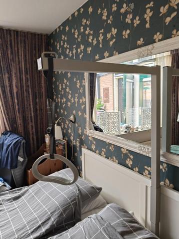 bed papegaai beschikbaar voor biedingen