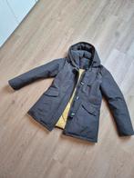 Airforce winterjas dames, Kleding | Dames, Jassen | Winter, Maat 38/40 (M), Airforce, Ophalen of Verzenden, Zo goed als nieuw