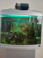 Aquarium met toebehoren!, Ophalen, Gebruikt, Gevuld zoetwateraquarium