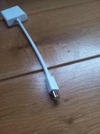 Mini DisplayPort naar DVI adapter - nieuw, Ophalen of Verzenden, Nieuw