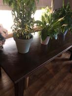 Eetkamertafel 6 personen, donkerbruin., Ophalen, Zo goed als nieuw