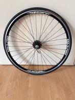 Giant 3T #Achterwiel Nieuw #Giant #Qlano QARW 3T, Wiel, Racefiets, Zo goed als nieuw, Giant