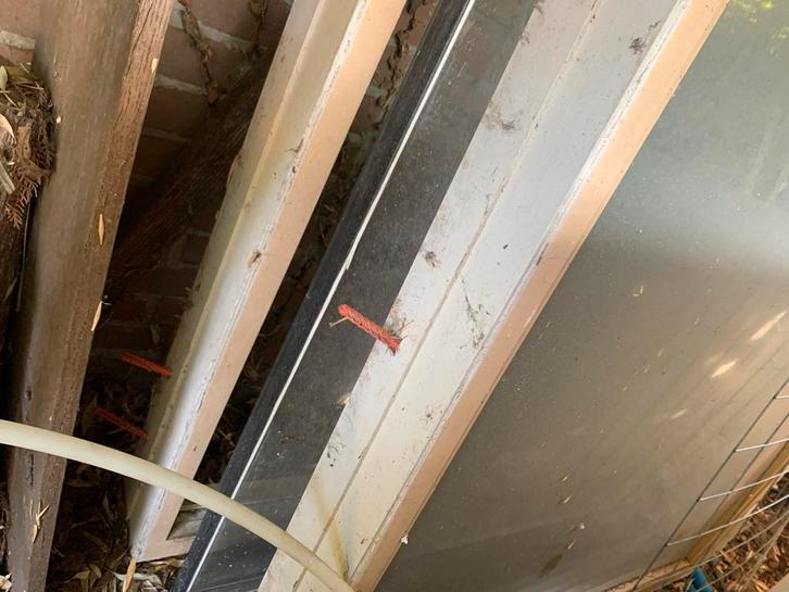 Houten kozijnen Jaloezieën / Lamellen - Gebruikt, Doe-het-zelf en Verbouw, Kozijnen en Schuifpuien, Gebruikt, Raamkozijn, Hout