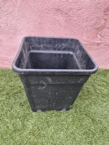 Kweekpot 30 st. 11 liter beschikbaar voor biedingen