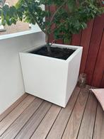 Adezz plantenbak wit aluminium 70x70x70, Tuin en Terras, Ophalen, Tuin, Vierkant, Zo goed als nieuw