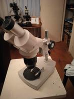 Euromex, Stereo Zoom, Ophalen of Verzenden, Gebruikt, Minder dan 400x, Biologische microscoop