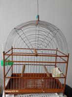 Super mooi Surinaamse vogelkooi, compleet, Dieren en Toebehoren, Ophalen, Gebruikt, Metaal, Vogelkooi