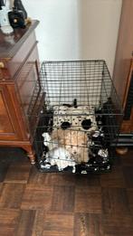 Honden benz middel maat, Dieren en Toebehoren, Ophalen, Gebruikt