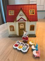 Leuke set Sylvanian Family, Kinderen en Baby's, Speelgoed | Poppenhuizen, Ophalen of Verzenden, Zo goed als nieuw