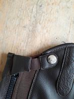 BUSSE chaps donkerbruin leder bruin  maat LL nieuw, Dieren en Toebehoren, Paardrijkleding, Dames, Ophalen of Verzenden, Schoeisel