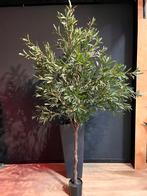 Prachtige Kunst Olijfboom - 230 cm - Als nieuw, Huis en Inrichting, Kamerplanten, Ophalen, 200 cm of meer, Overige soorten, Halfschaduw