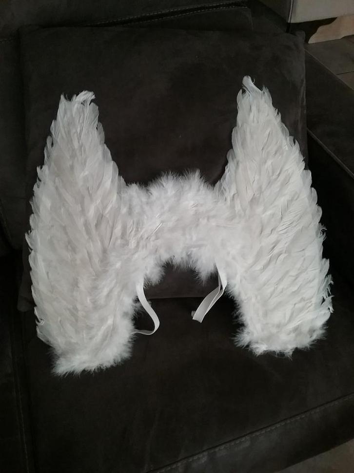 ENGELEN VLEUGELS.... (  WITTE VEREN..)., Antiek en Kunst, Curiosa en Brocante, Ophalen of Verzenden