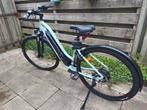 RIVERSIDE 100E  Elektrische hybride fiets, Zo goed als nieuw, 51 tot 55 cm, 50 km per accu of meer, Ophalen