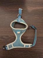 Hondentuig voor kleine hond, Dieren en Toebehoren, Ophalen of Verzenden, Gebruikt