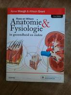 Anatomie & Fysiologie in gezondheid en ziekte, Boeken, Studieboeken en Cursussen, Ophalen of Verzenden, Beta, Zo goed als nieuw
