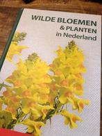 Wilde Bloemen & Planten in Nederland - Natuurgids, Boeken, Ophalen of Verzenden