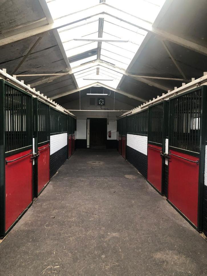 Pensionstalling aangeboden Stroe., Dieren en Toebehoren, Stalling en Weidegang, Stalling, Weidegang