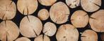 Gezocht stamhout brandhout brand hout eiken beuk stammen, Tuin en Terras, Haardhout, Stammen, Ophalen, 6 m³ of meer