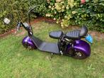 I-Coco LT-018 Elektrische Scooter-NIEUWE ACCU-, Fietsen en Brommers, Ophalen, Zo goed als nieuw, Overige merken