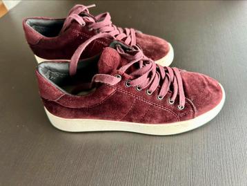 Mooie dames/meisjes sneakers 37 zgan 