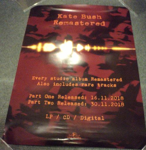 Kate Bush PROMO POSTER Remastered 2018, Verzamelen, Muziek, Artiesten en Beroemdheden, Zo goed als nieuw, Poster, Artwork of Schilderij