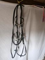 Zwart hoofdstel full met bit merk: Premiere, Ophalen of Verzenden, Zo goed als nieuw, Dressuur