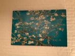 Canvas schilderij amandelbloesem van Gogh, Ophalen, Zo goed als nieuw