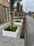 stalen plantenbak Nederlands maatwerk, Vierkant, Nieuw, Ophalen of Verzenden, Metaal