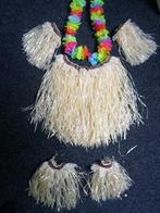 hawai pakje, Ophalen of Verzenden, Gedragen, Maat 46 (S) of kleiner, Carnaval