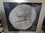 Verzilverde boomstam schijf achter glas, Huis en Inrichting, Ophalen, Gebruikt, Hout, 75 cm of meer