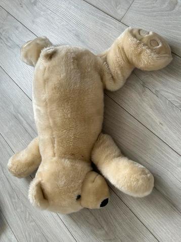 Schattige IJsbeer Knuffel beschikbaar voor biedingen