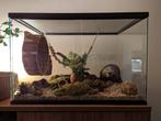 Hamsterscaping Glasterrarium – Ruim, Stijlvol en Praktisch, Minder dan 60 cm, Ophalen of Verzenden, Minder dan 75 cm, Nieuw