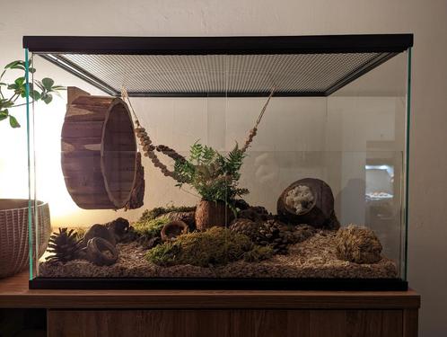 Hamsterscaping Glasterrarium – Ruim, Stijlvol en Praktisch, Dieren en Toebehoren, Knaagdieren en Konijnen | Hokken en Kooien, Nieuw