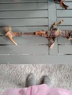 oude dayak madau zwaard, Antiek en Kunst, Kunst | Niet-Westerse kunst, Ophalen of Verzenden