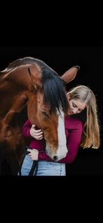 verzorg paard gezocht/ bijrijder aangeboden, Dieren en Toebehoren, Ophalen of Verzenden, Zo goed als nieuw