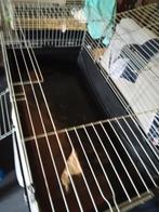 Konijnenkooi, Dieren en Toebehoren, Knaagdieren en Konijnen | Hokken en Kooien, Kooi, Gebruikt, Cavia, 75 tot 110 cm