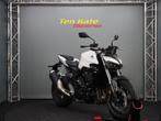 Honda CB 1000 Hornet, Bedrijf, Naked bike