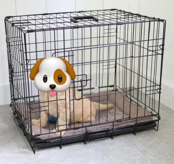 Hondenbech + hoes + ren., Dieren en Toebehoren, Hondenbenches, Zo goed als nieuw, Ophalen