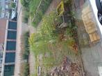 Tuin leeghalen, Ophalen